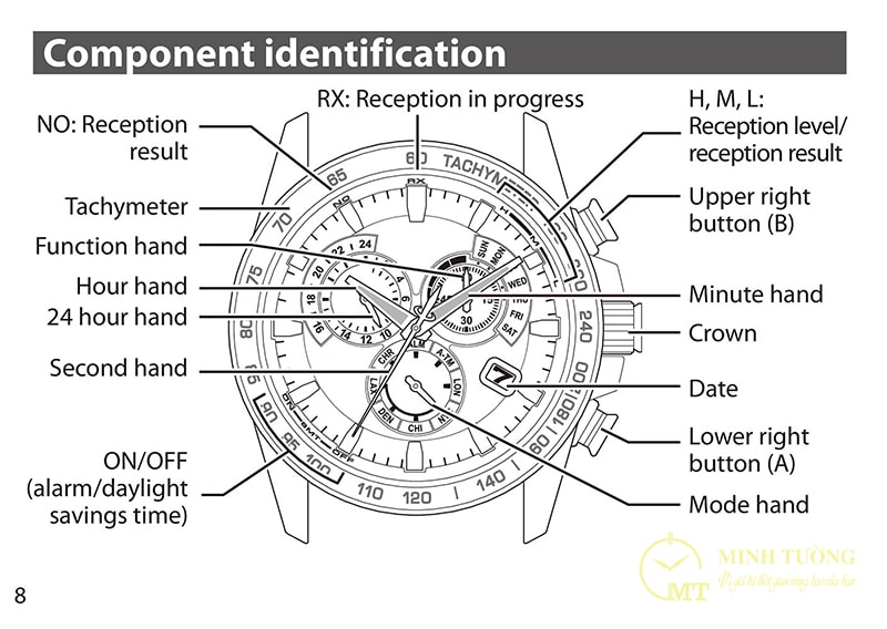 Chỉnh ngày cho đồng hồ