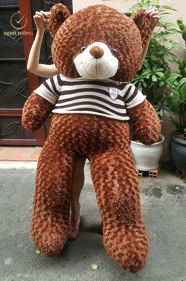 Hầu hết các cô gái đều yêu thích những chú gấu bông mềm mại, dễ thương