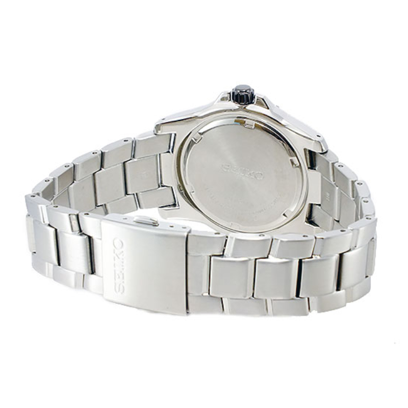 SNE113P1 (2) SNE113P1