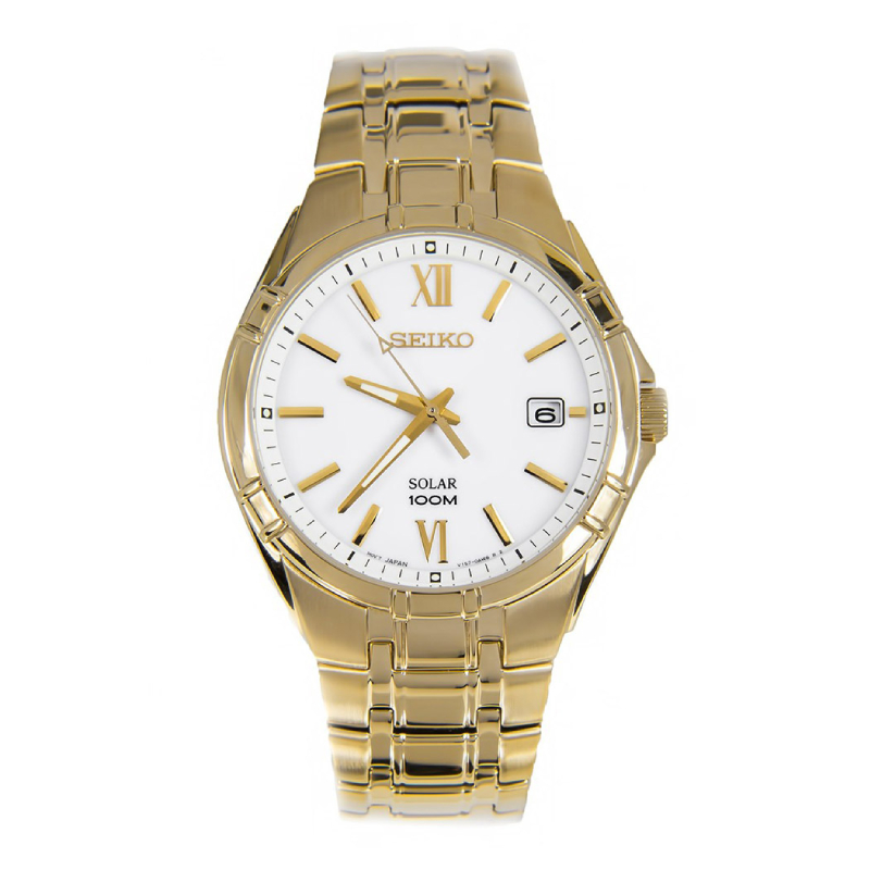 SNE218P1 (1) SNE218P1