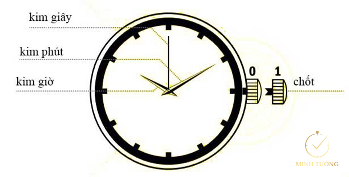 Hình ảnh minh họa cho cách chỉnh giờ đồng hồ Seiko - 1 núm