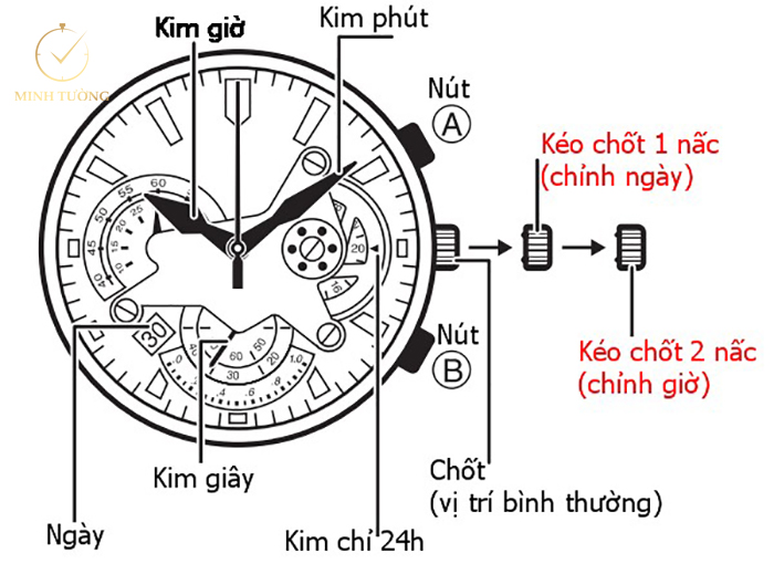 Hình ảnh minh họa cho cách chỉnh giờ đồng hồ Seiko - 3 núm
