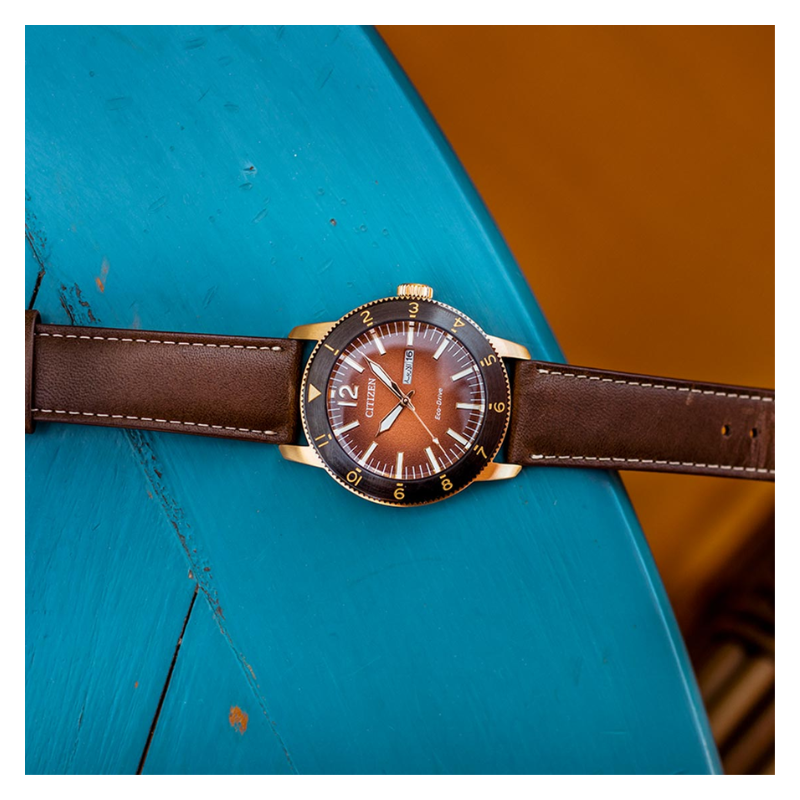 citizen-aw0079-13x-nam-kinh-cung-eco-drive-nang-luong-anh-sang-day-da-3