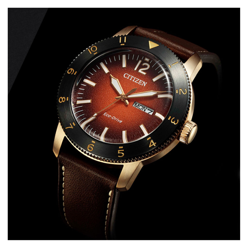 citizen-aw0079-13x-nam-kinh-cung-eco-drive-nang-luong-anh-sang-day-da-4