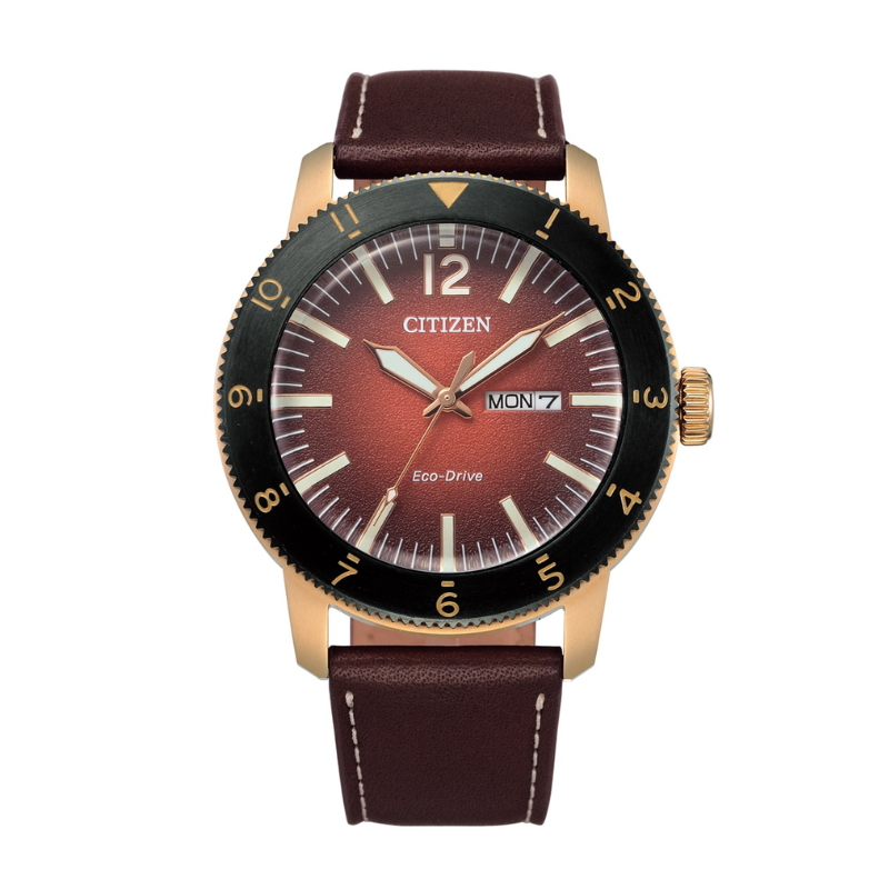 citizen-aw0079-13x-nam-kinh-cung-eco-drive-nang-luong-anh-sang-day-da