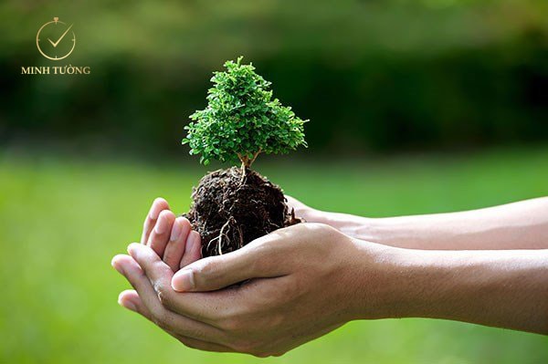 Khái quát, tính cách của người mệnh mộc